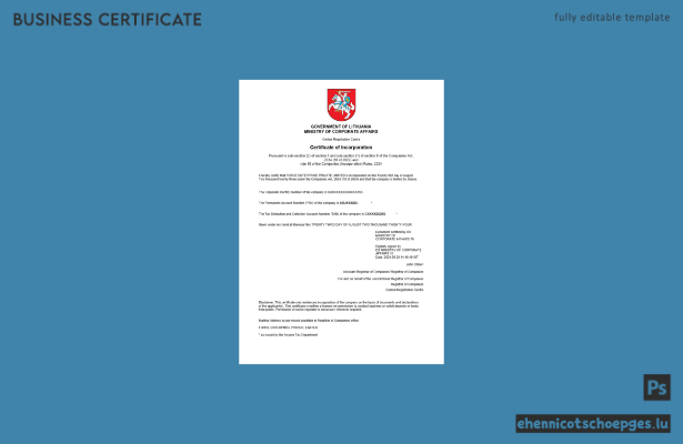 Beispielvorschau der litauischen Firmenregistrierungsbescheinigung (Word und PDF)